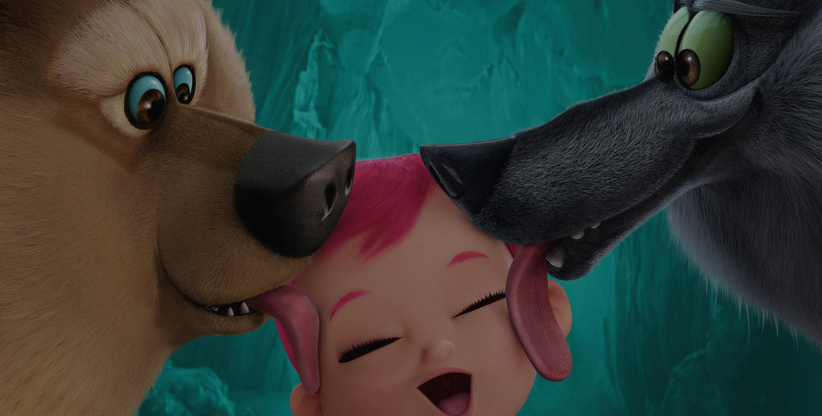 在哪买最划算的云呼呼死你